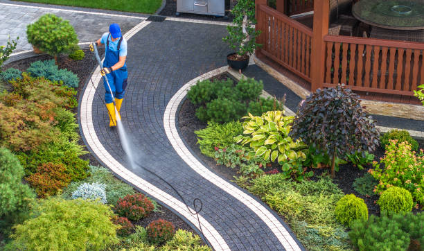 Best Exterior Home Cleaning  in Haleiwa, HI